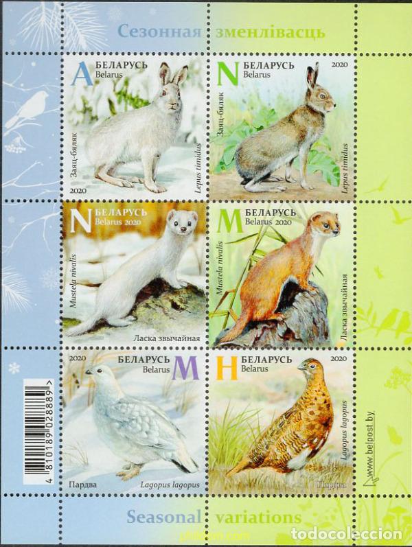 Sellos: 786257 MNH BIELORRUSIA 2020 ANIMALES Y SUS CAMBIOS EN LAS ESTACIONES