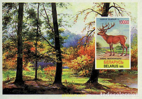 Sellos: 84131 MNH BIELORRUSIA 1995 PROTECCION DE LA NATURALEZA