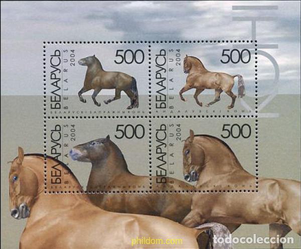 Sellos: 180527 MNH BIELORRUSIA 2004 CABALLOS