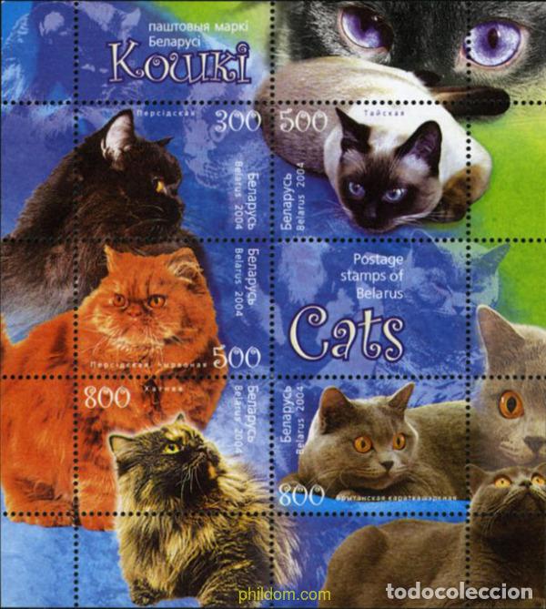 Sellos: 174424 MNH BIELORRUSIA 2004 FAUNA GATOS