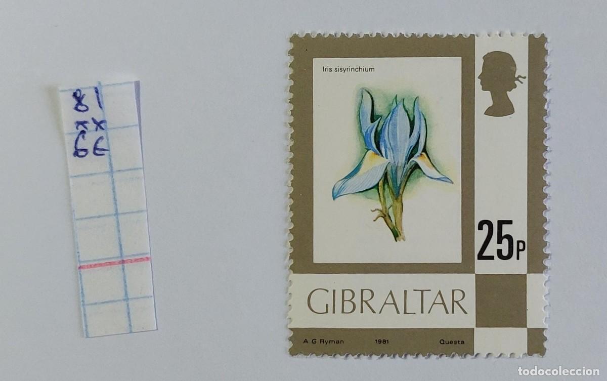 Sellos: 1981 GIBRALTAR, FLOR DE IRIS FLORA ** MNH - Foto 1