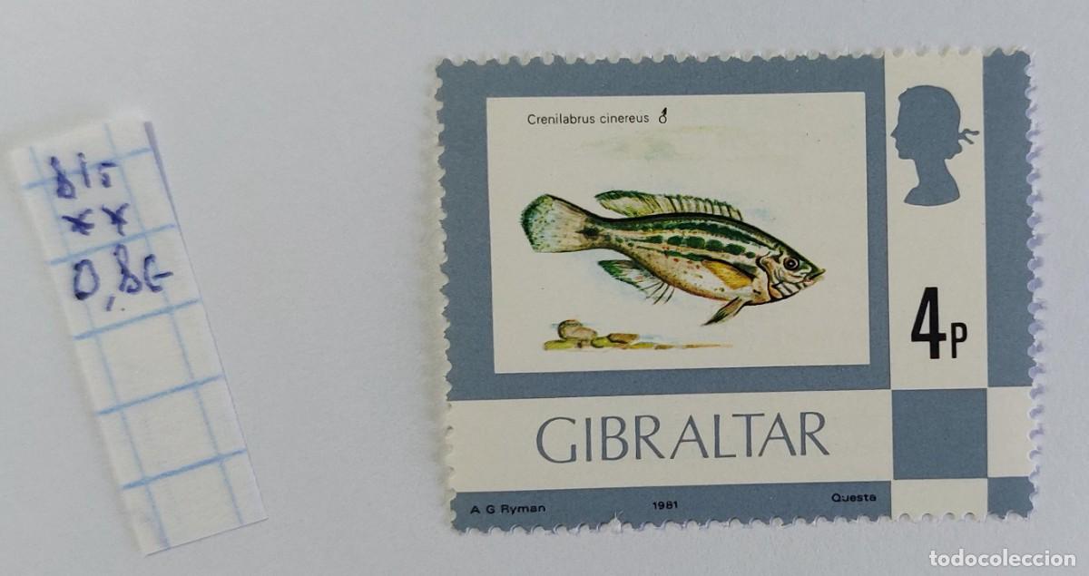 Sellos: 1981 el l&aacute;brido gris (Crenilabrus cinereus), un pez marino ** MNH
