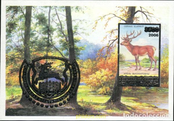 Sellos: 199847 MNH BIELORRUSIA 2006 CIERVO