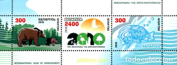 Sellos: 252552 MNH BIELORRUSIA 2010 A&Ntilde;O INTERNACIONAL DE LA BIODIVERSIDAD