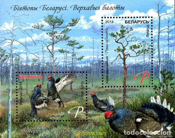 Sellos: 319775 MNH BIELORRUSIA 2014 GALLOS SALVAJES