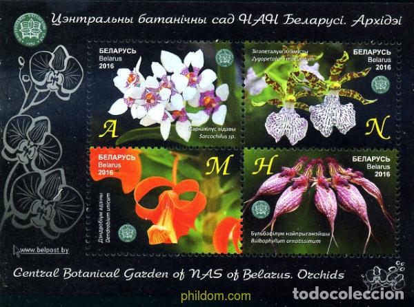Sellos: 357081 MNH BIELORRUSIA 2016 FLORES. ORQUIDEAS DEL JARDIN BOTANICO CENTRAL DE BIELORRUSIA