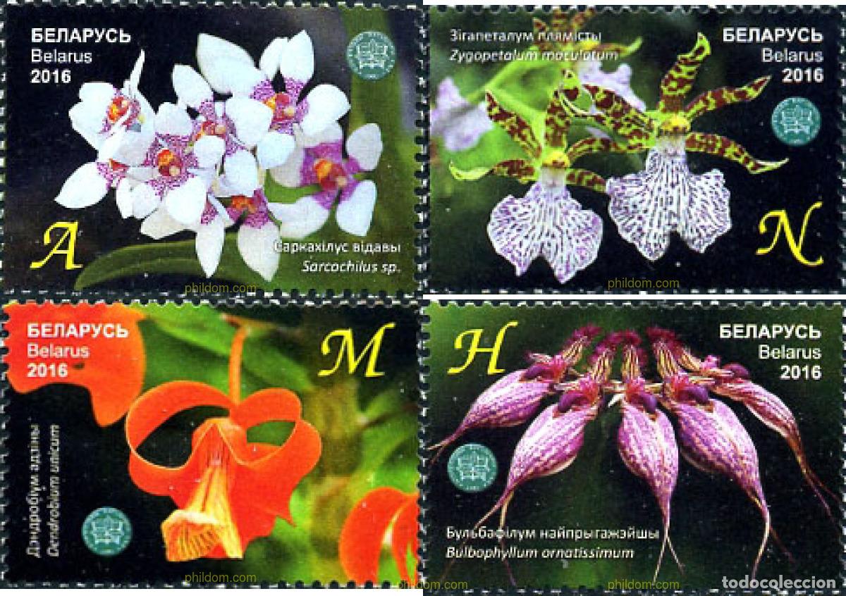 Sellos: 357080 MNH BIELORRUSIA 2016 FLORES. ORQUIDEAS DEL JARDIN BOTANICO CENTRAL DE BIELORRUSIA