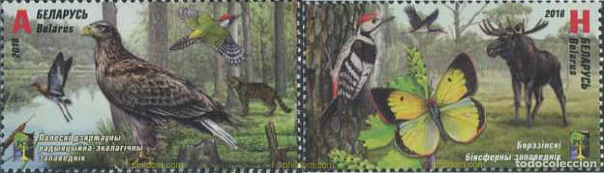 Sellos: 599472 MNH BIELORRUSIA 2018 FAUNA. RESERVAS NATURALES