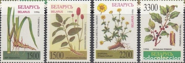 Sellos: BIELORRUSIA 1996 4 STAMPS MNH FLORES FLOWERS FLEURS BLUMEN FIORI PLANTAS PLANTS PLANTES PFLANZEN
