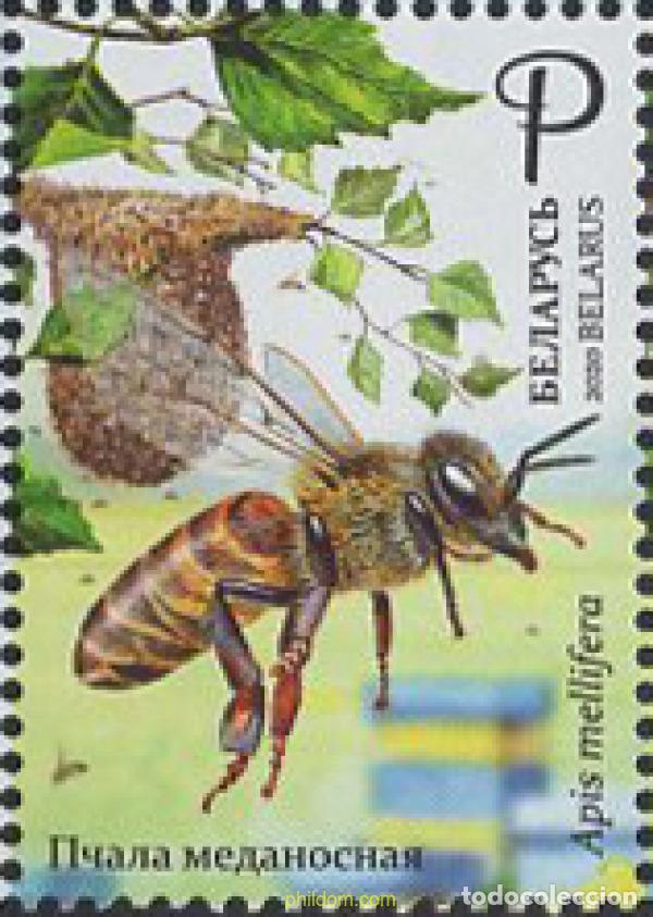 Sellos: 668677 MNH BIELORRUSIA 2020 APICULTURA EN BIELORRUSIA