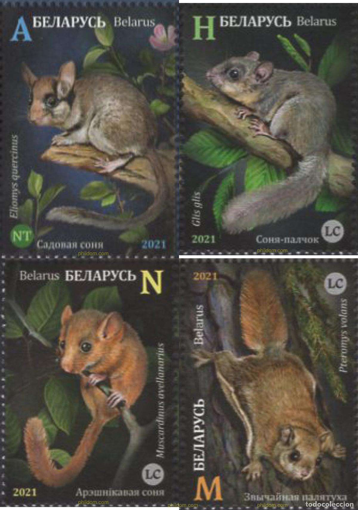 Sellos: 656316 MNH BIELORRUSIA 2021 FAUNA DE ROEDORES