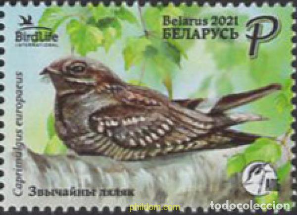 Sellos: 656309 MNH BIELORRUSIA 2021 AVE DEL A&ntilde;O