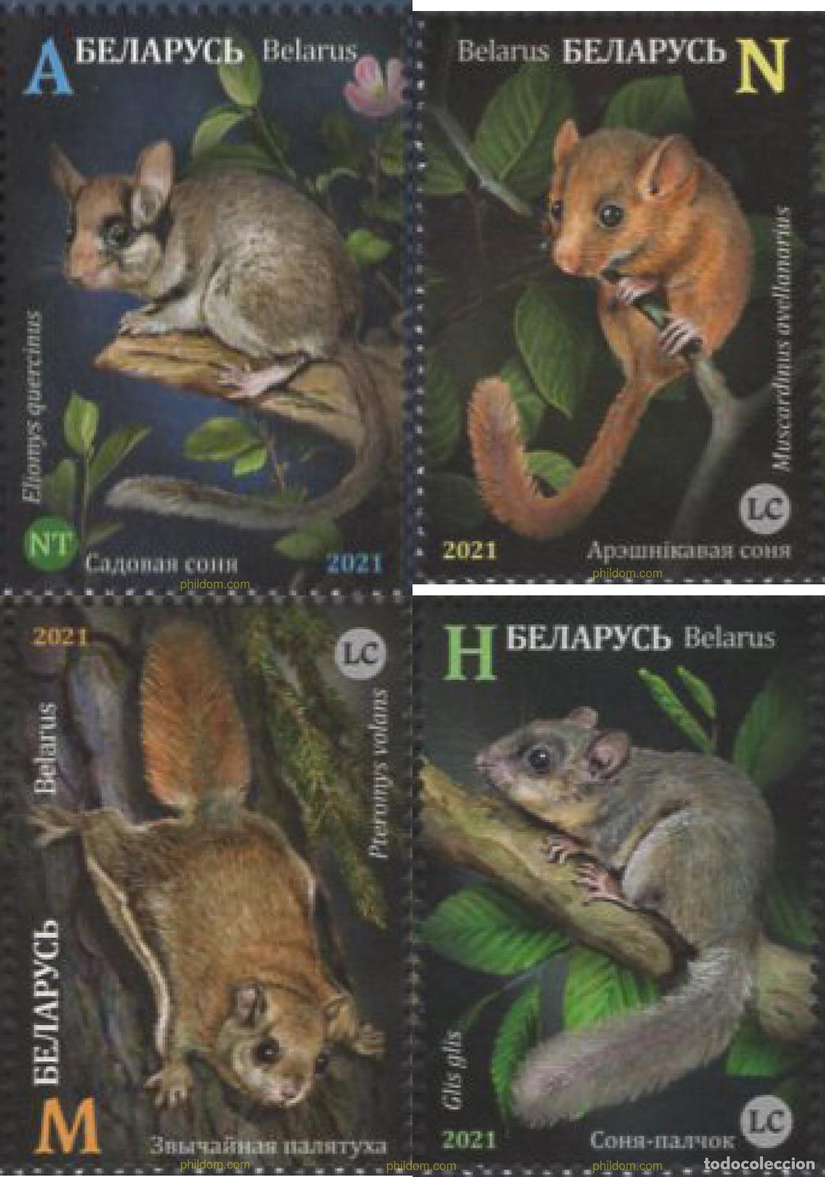 Sellos: 656316 MNH BIELORRUSIA 2021 FAUNA DE ROEDORES