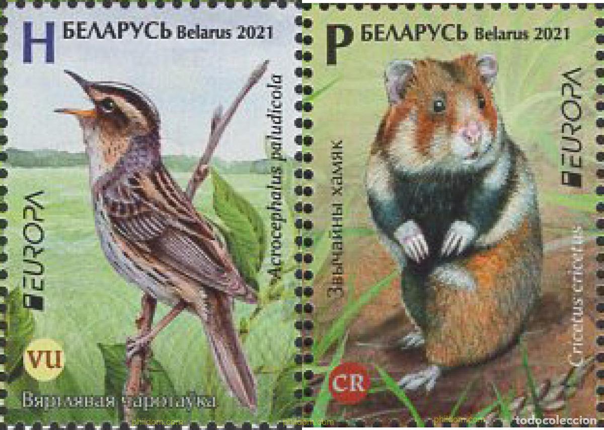 Sellos: 652378 MNH BIELORRUSIA 2021 EUROPA CEPT 2021 - FAUNA NACIONAL EN PELIGRO DE EXTINCION