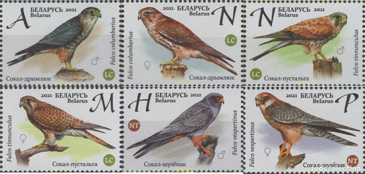 Sellos: 668643 MNH BIELORRUSIA 2021 AVES. RAPACES DIURNAS