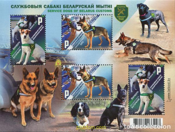 Sellos: 787230 MNH BIELORRUSIA 2021 PERRO DE ASISTENCIA EN SERVICIO DE ADUANAS BIELORRUSOS