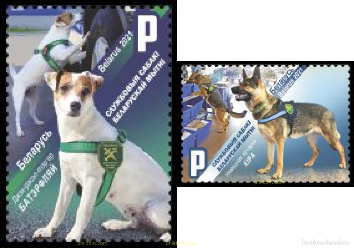 Sellos: 662094 MNH BIELORRUSIA 2021 PERRO DE ASISTENCIA EN SERVICIO DE ADUANAS BIELORRUSOS