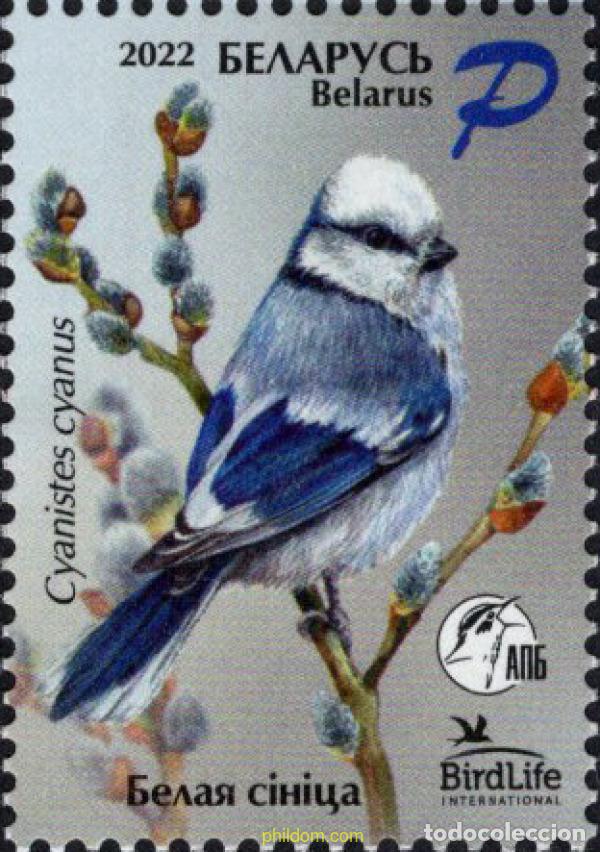 Sellos: 691489 MNH BIELORRUSIA 2022 AVE DEL A&Ntilde;O