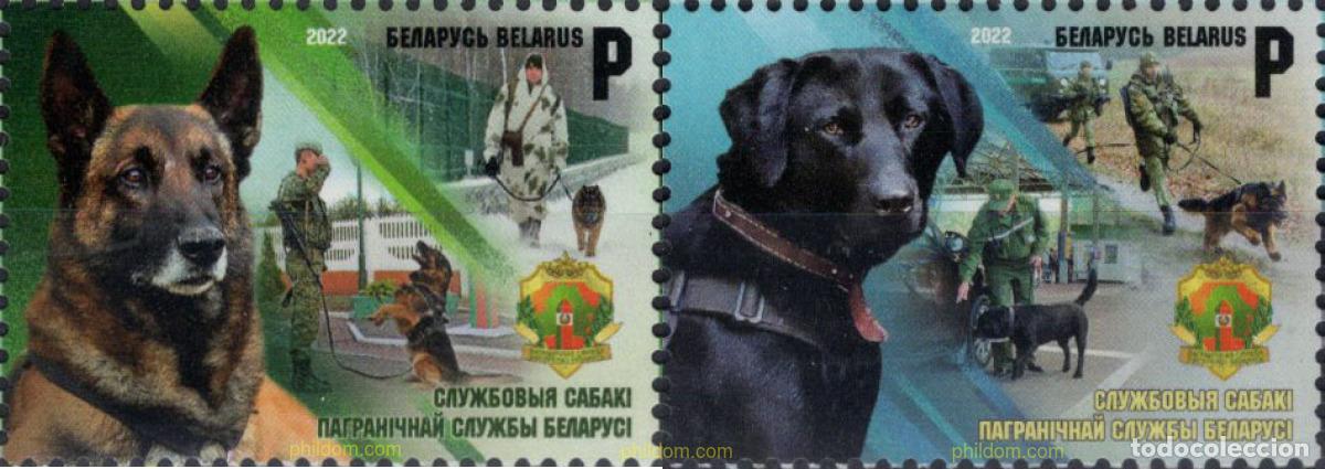 Sellos: 687386 MNH BIELORRUSIA 2022 PERROS DE ASISTENCIA EN SERVICIOS DE ADUANAS BIELORRUSAS