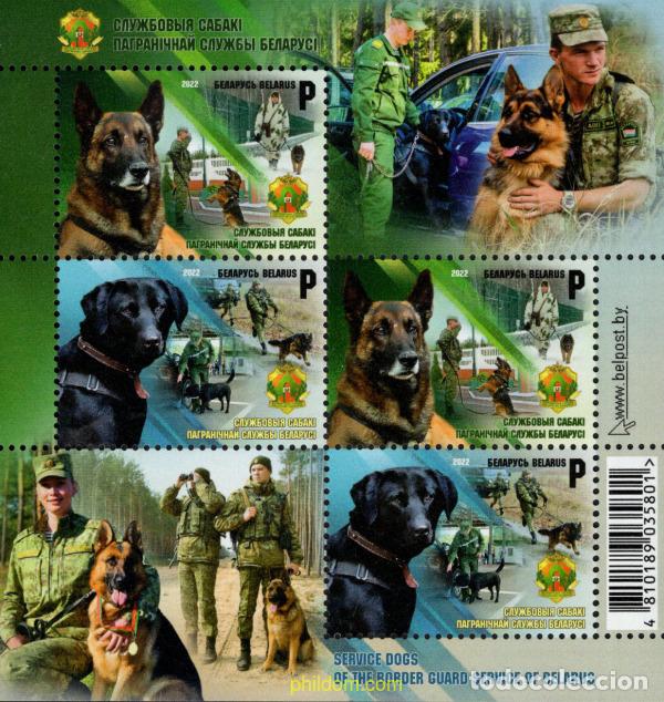 Sellos: 787311 MNH BIELORRUSIA 2022 PERROS DE ASISTENCIA EN SERVICIOS DE ADUANAS BIELORRUSAS