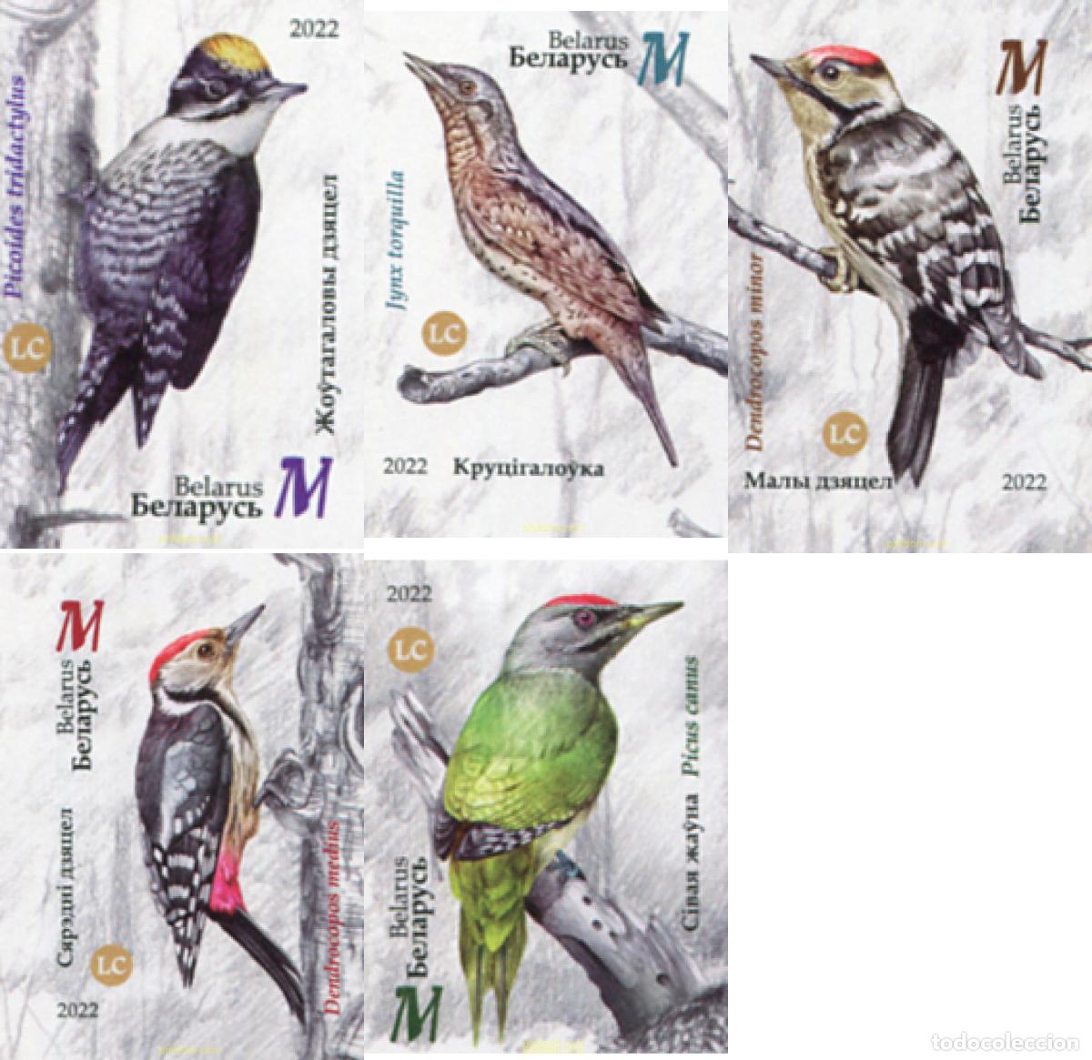 Sellos: 685643 MNH BIELORRUSIA 2022