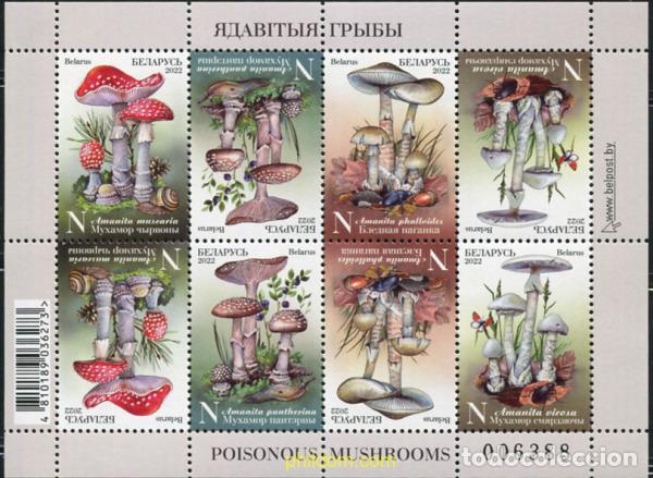 Sellos: 709860 MNH BIELORRUSIA 2022 SETAS VENENOSAS