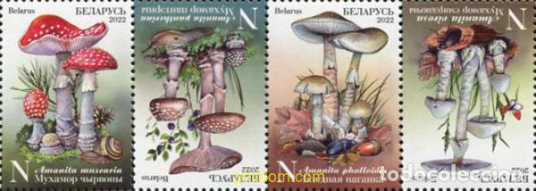Sellos: 787325 MNH BIELORRUSIA 2022 SETAS VENENOSAS