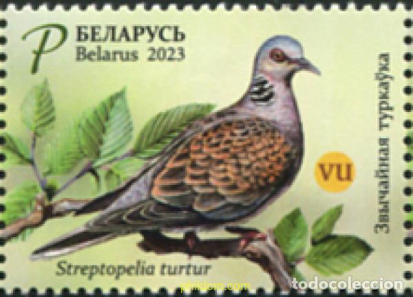 Sellos: 709853 MNH BIELORRUSIA 2023 AVE DEL A&Ntilde;O