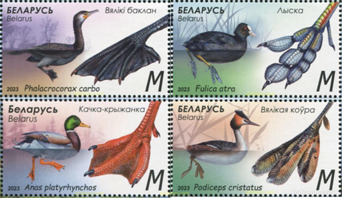 Sellos: 728618 MNH BIELORRUSIA 2023 AVES ACUATICAS