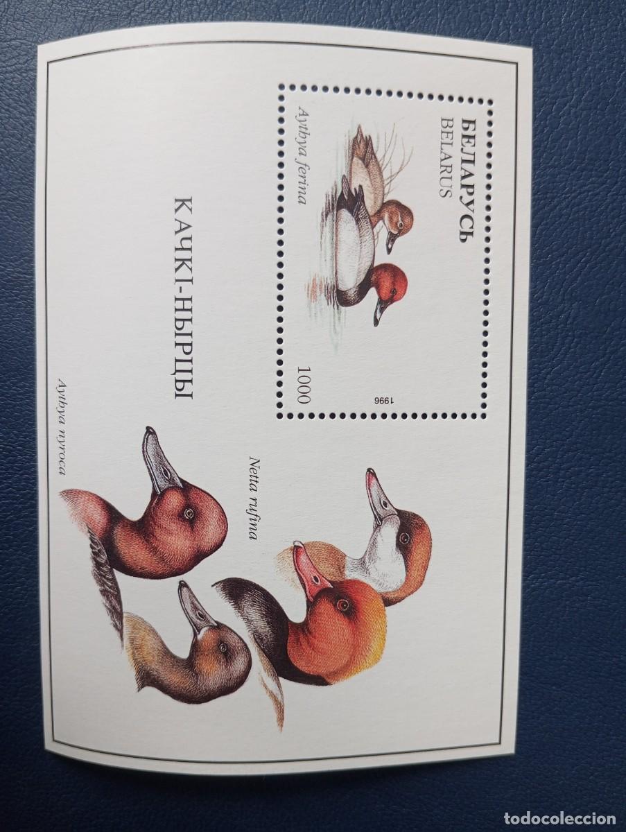 Sellos: BIELORUSIA, 1996, FAUNA, PATOS, HB 12