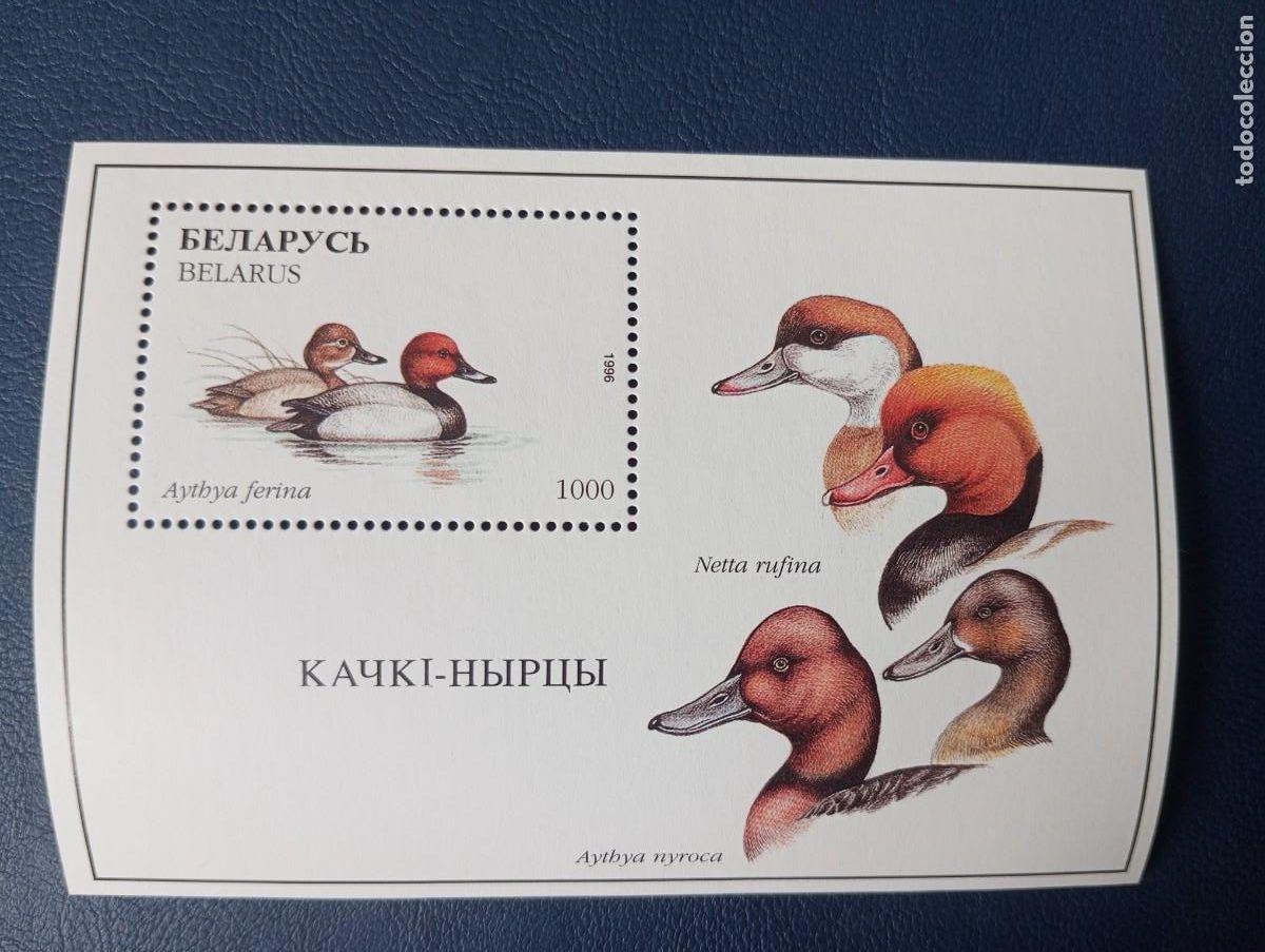 Francobolli: BIELORUSIA, 1996, FAUNA, PATOS, HB 12