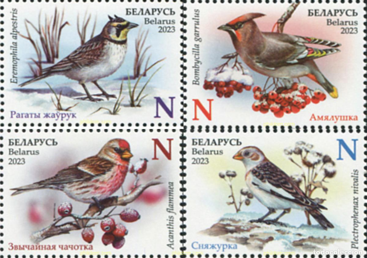 Sellos: 729088 MNH BIELORRUSIA 2023 AVES DE INVIERNO