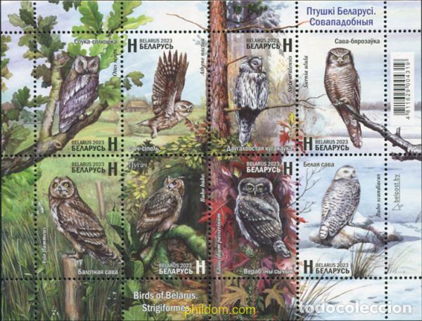 Sellos: 729095 MNH BIELORRUSIA 2023 AVES