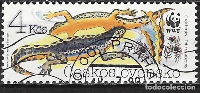 Sellos: Checoslovaquia 1989 - Mi 3010 - YT 2810 - WWF : Los anfibios : Trit&oacute;n
