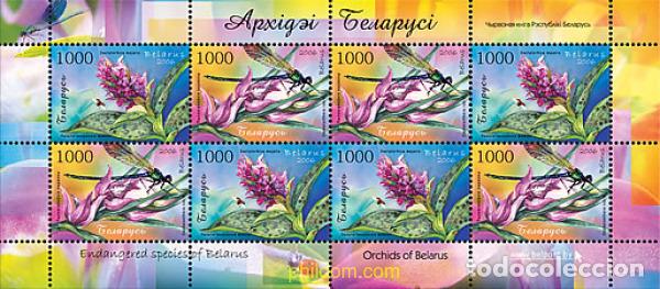 Sellos: 624420 MNH BIELORRUSIA 2006 ORQUIDEAS