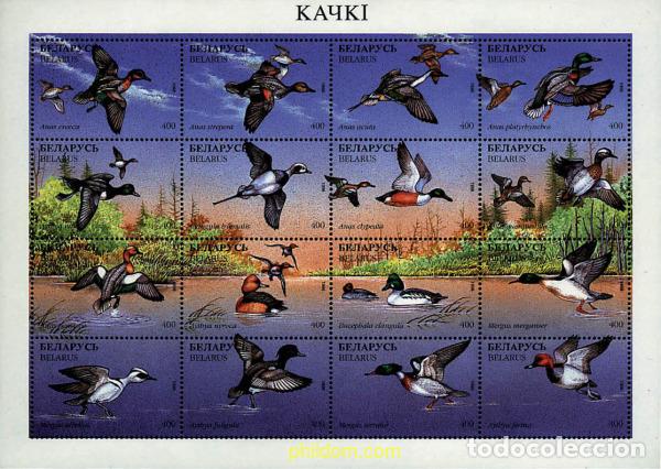 Sellos: 787805 MNH BIELORRUSIA 1996 AVES ACUATICAS