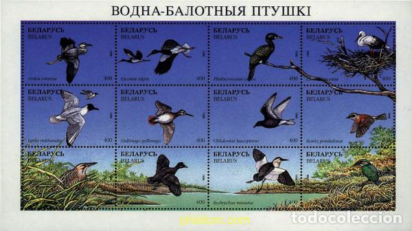 Sellos: 597873 MNH BIELORRUSIA 1996 AVES ACUATICAS