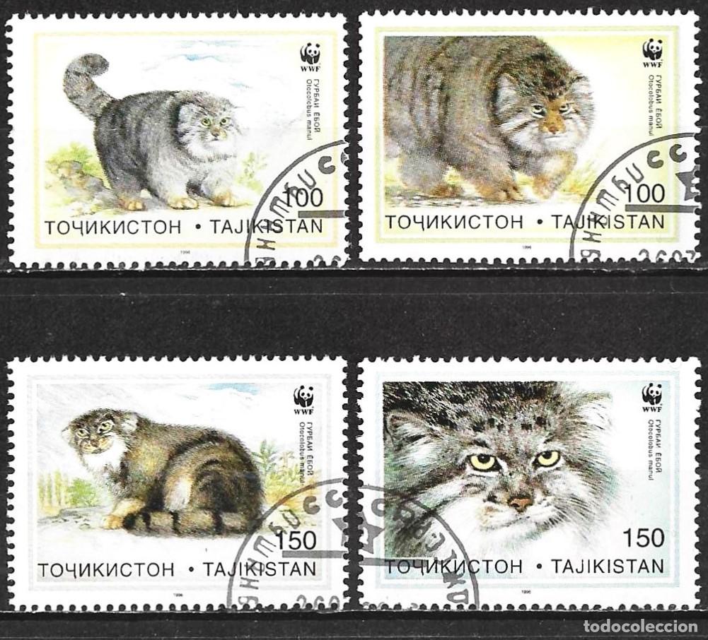 Sellos: Tayikist&aacute;n 1996 - Mi 94 a 97 - YT 89 a 89 - WWF - Gatos salvajes ( Serie completa )