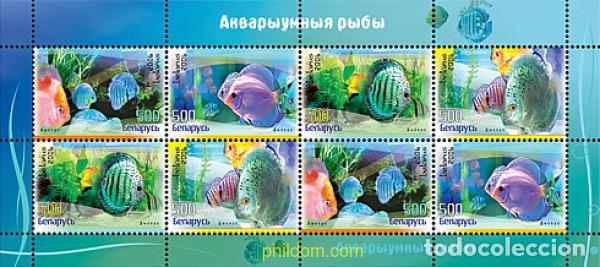 Sellos: 292161 MNH BIELORRUSIA 2006 PECES