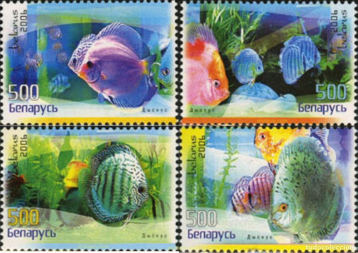 Sellos: 199853 MNH BIELORRUSIA 2006 PECES
