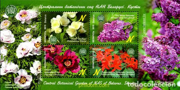 Sellos: 343153 MNH BIELORRUSIA 2015 FLORES SILVESTRES