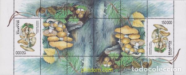 Sellos: 179103 MNH BIELORRUSIA 1999 SETAS