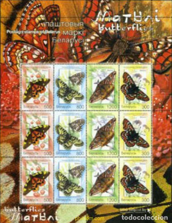 Sellos: 180544 MNH BIELORRUSIA 2004 MARIPOSAS