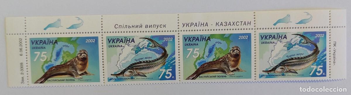 Sellos: UCRANIA 2002 fauna marina, la foca caspiana (Phoca caspica) y la beluga del Mar Negro ** MNH