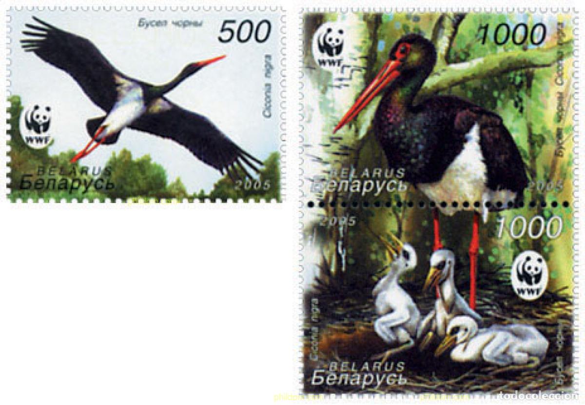 Sellos: 784406 MNH BIELORRUSIA 2005 AVANCES CIENTIFICOS Y MEDICOS DEL SIGLO XX