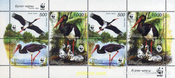 Sellos: 165709 MNH BIELORRUSIA 2005 AVANCES CIENTIFICOS Y MEDICOS DEL SIGLO XX