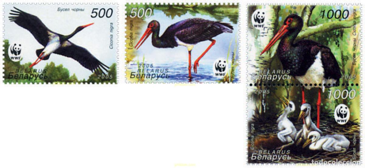 Sellos: 784400 MNH BIELORRUSIA 2005 AVANCES CIENTIFICOS Y MEDICOS DEL SIGLO XX