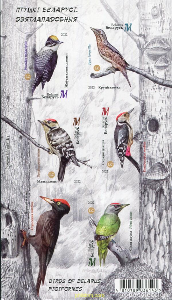 Sellos: 788422 MNH BIELORRUSIA 2022 AVES PICIFORMES