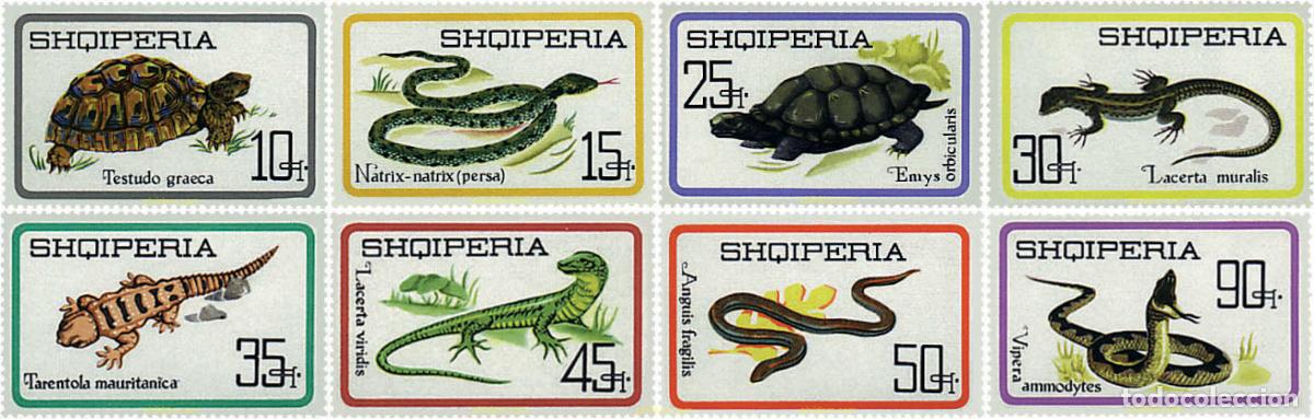 Sellos: 78135 MNH ALBANIA 1966 REPTILES Y TORTUGAS