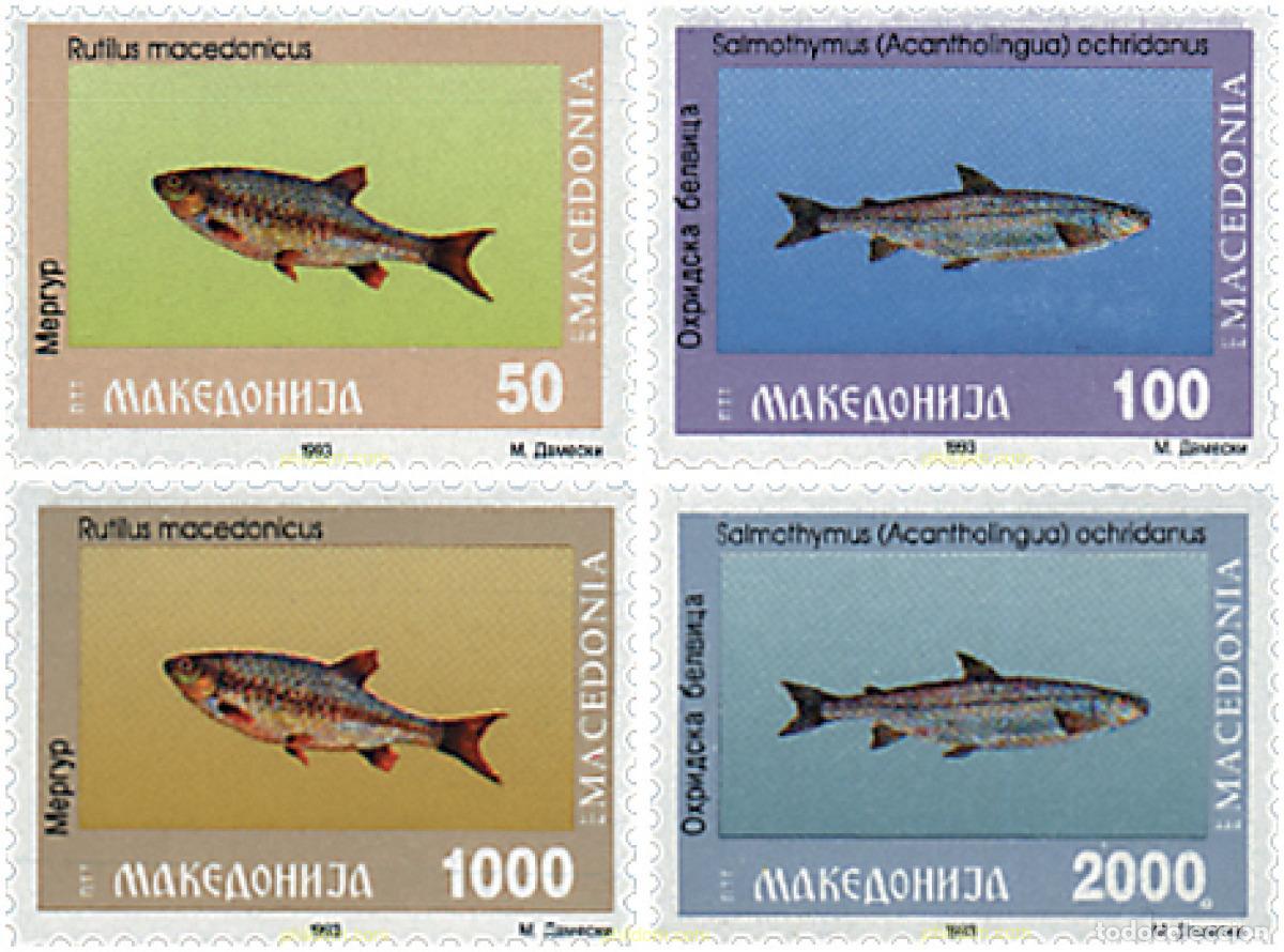 Sellos: 67556 MNH MACEDONIA 1993 PECES